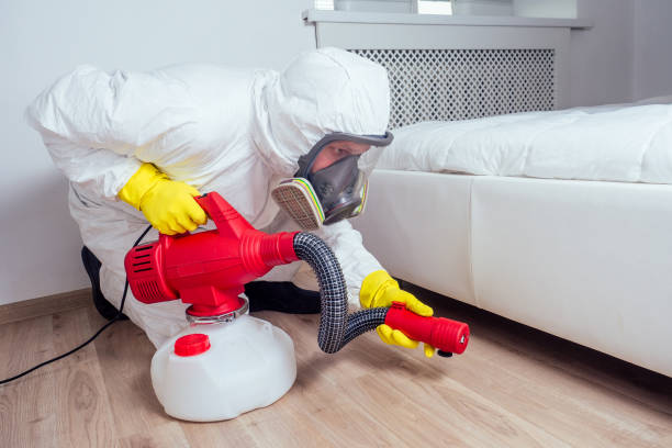 Best Pest Prevention Services  in Clinton, OK