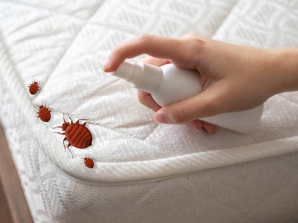 Best Cockroach Control Services  in Clinton, OK